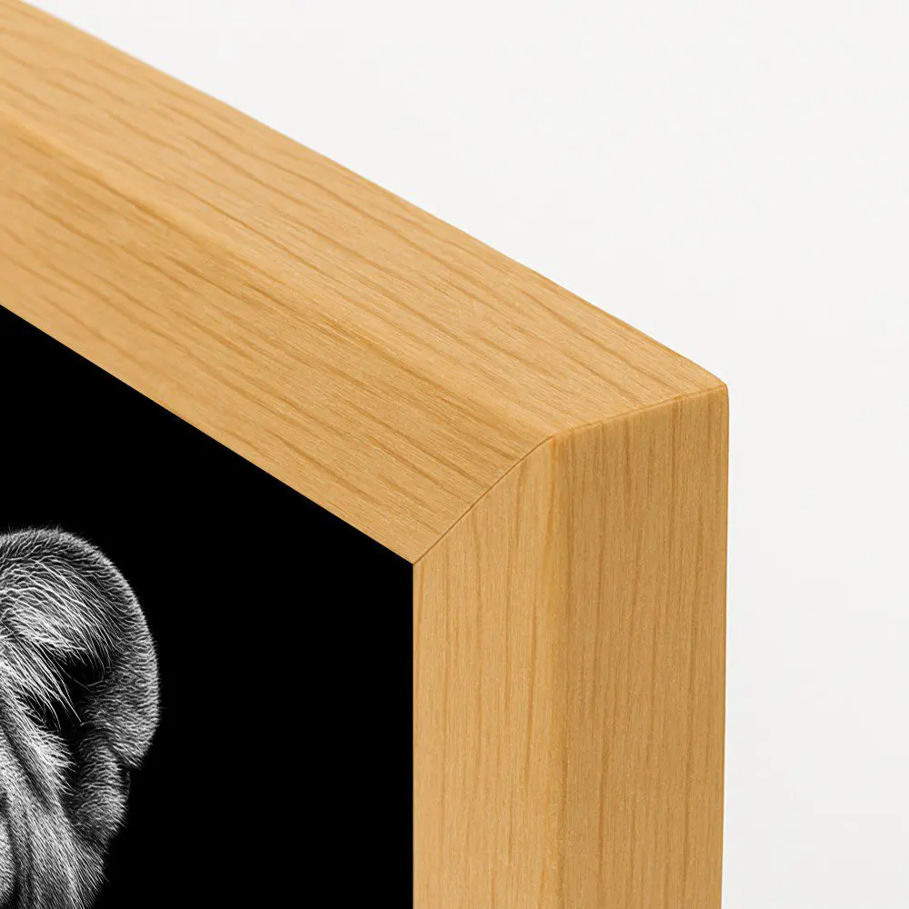 León y leona - Imagen 5