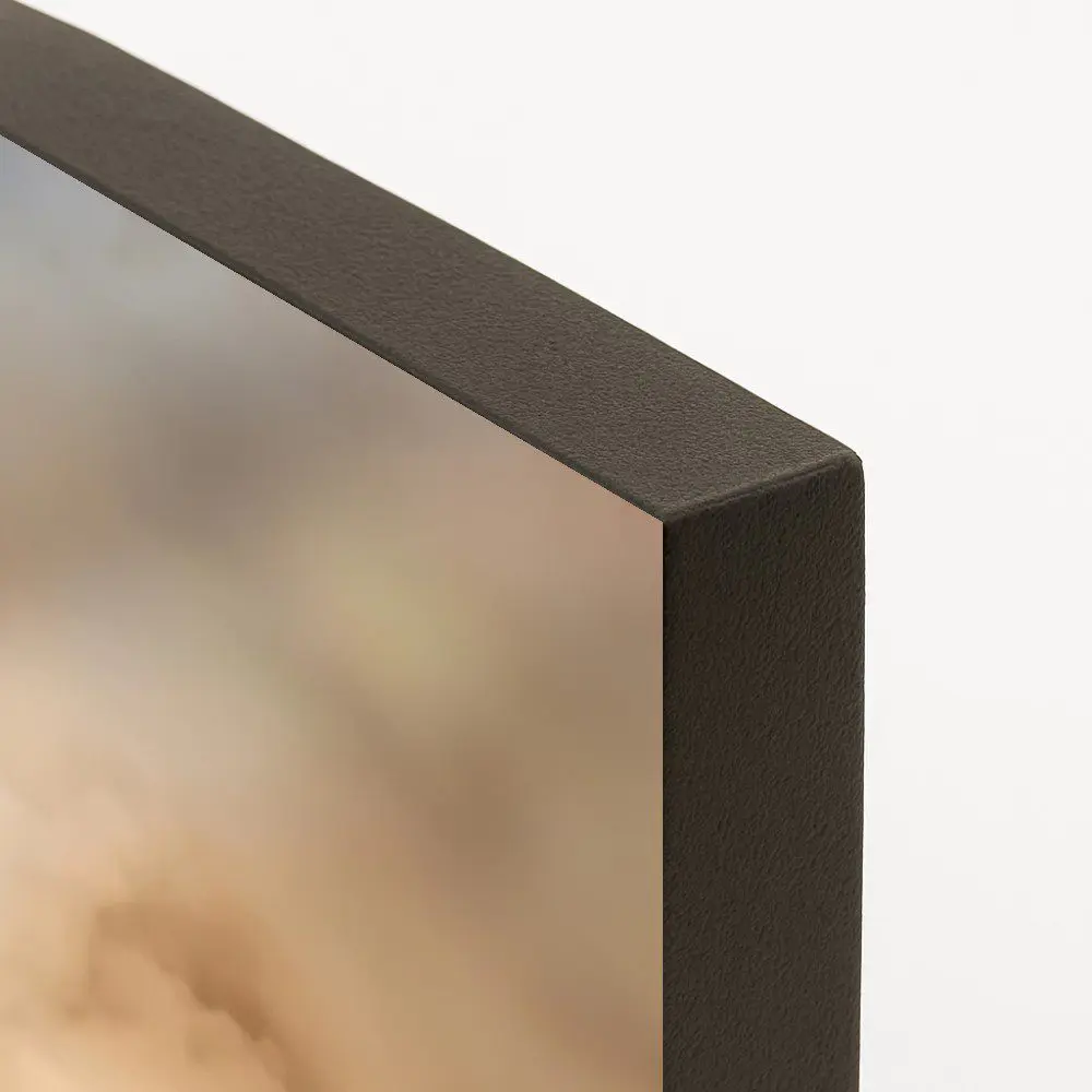 Mural Caballos - Imagen 6