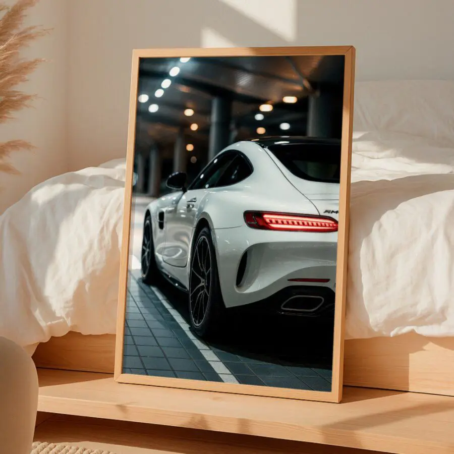 Cuadro de Mercedes AMG GT