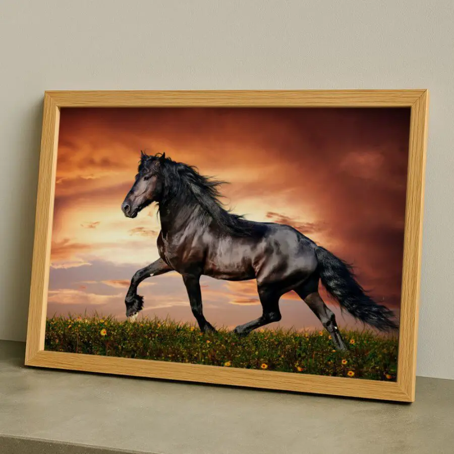 Cuadro de Caballo Negro