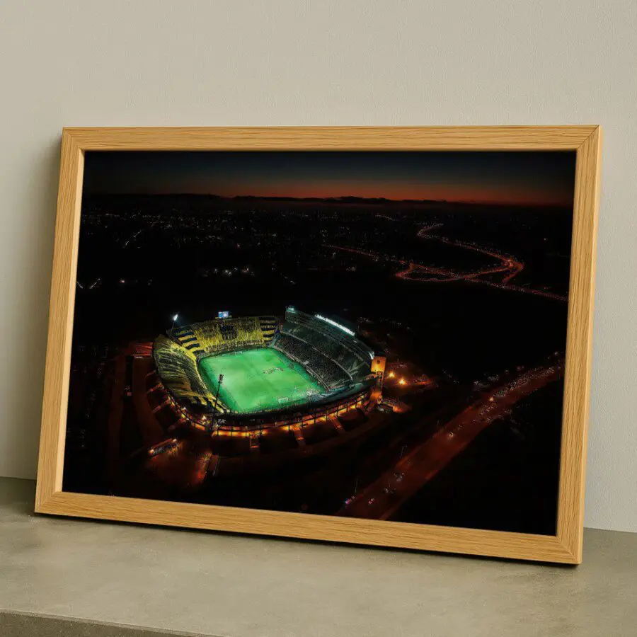 Cuadro de Estadio Campeón del Siglo