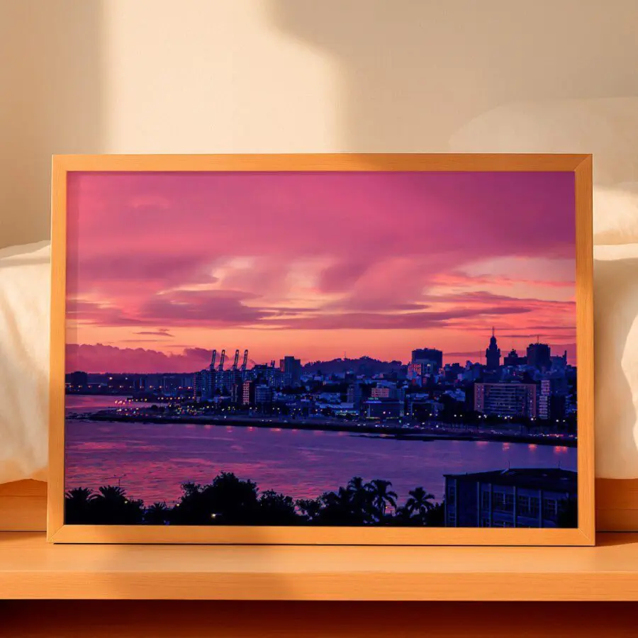 Cuadro de Montevideo