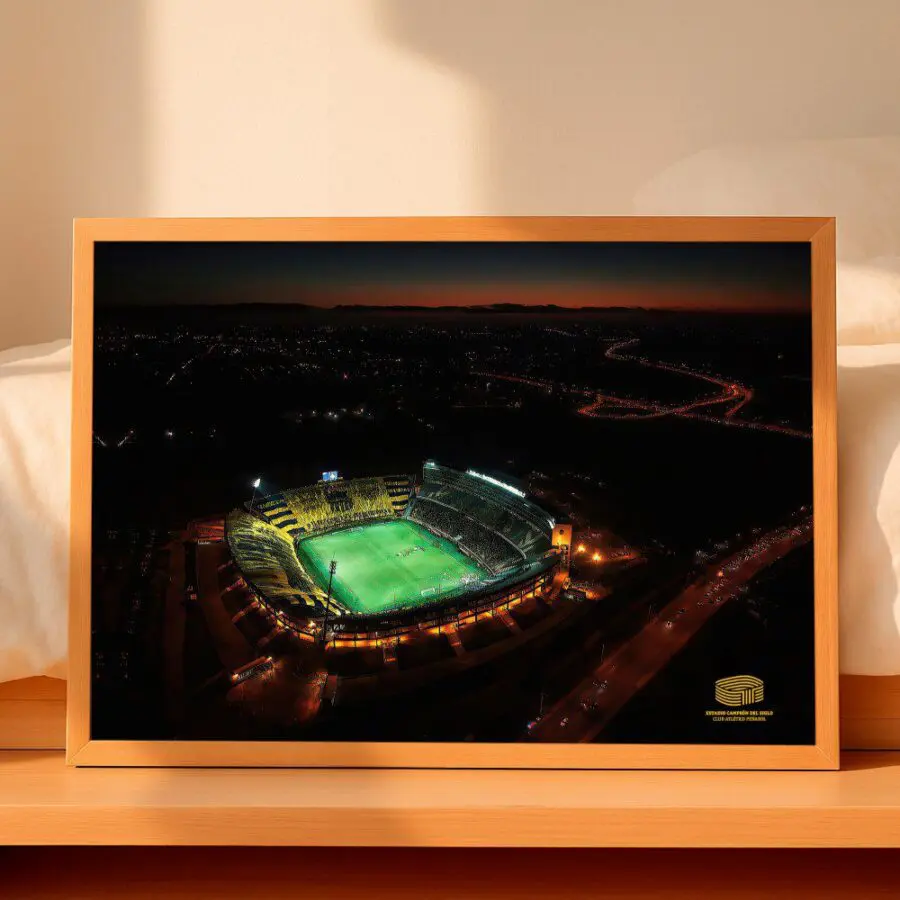 Cuadro de Estadio Campeón del Siglo