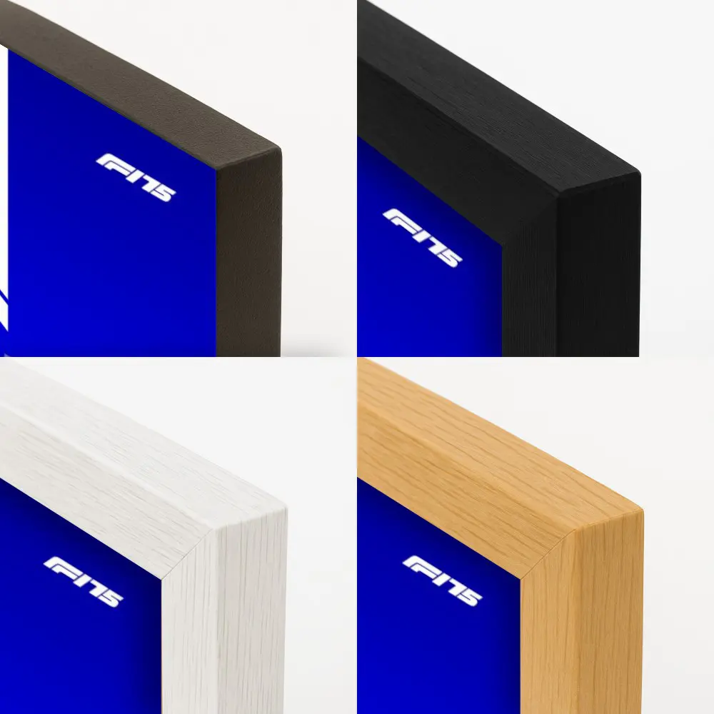 Cuadro de F1 2025 Alpine A525 – Gasly & Colapinto - Imagen 2