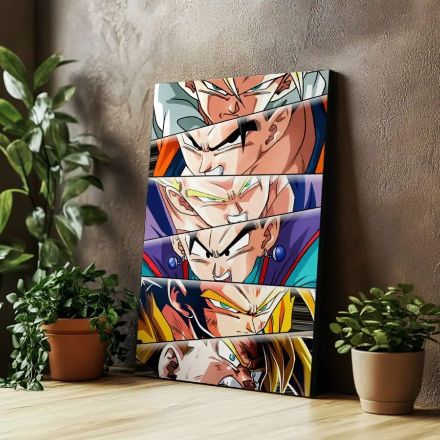 Cuadro de Dragon Ball