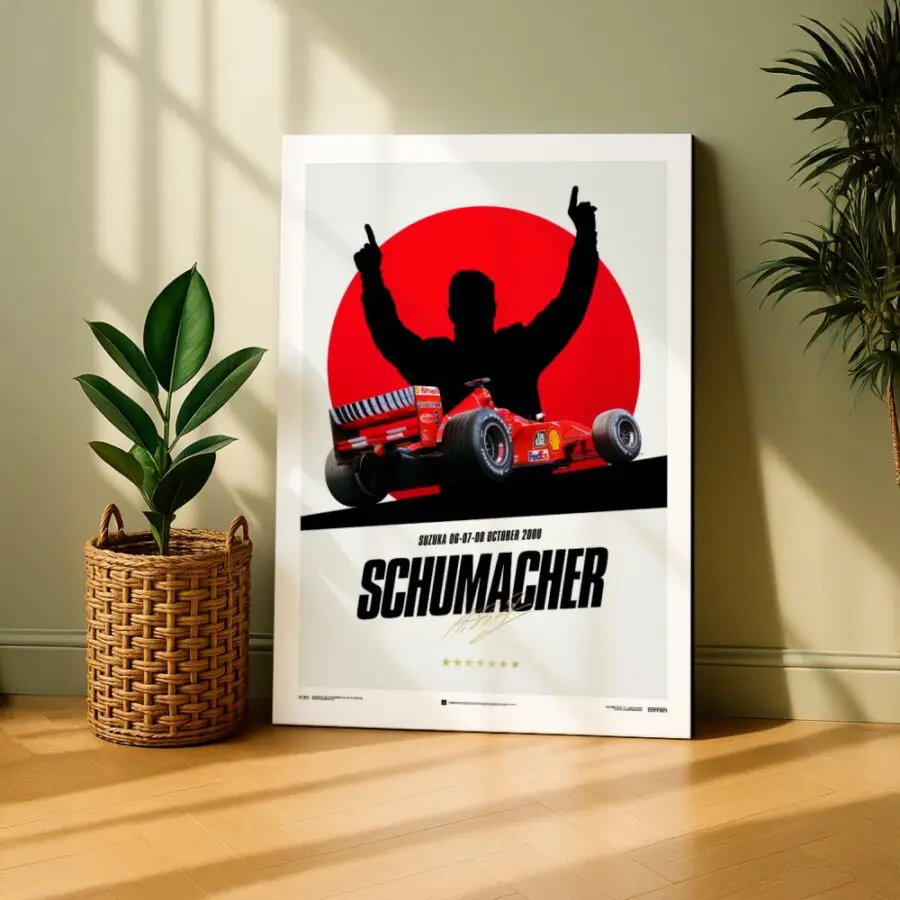 Cuadro de Michael Schumacher