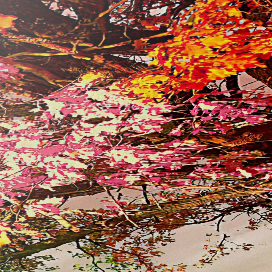 Árbol de colores