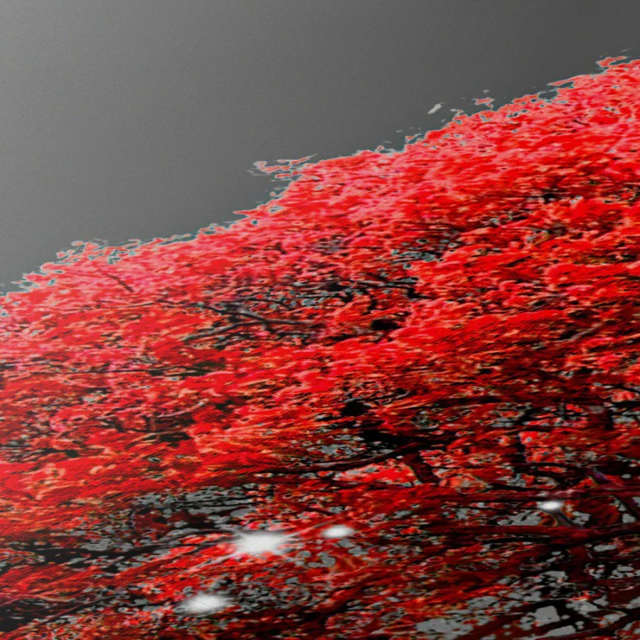 Árbol rojo
