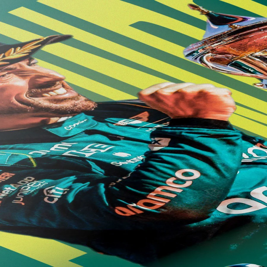 Cuadro de Fernando Alonso