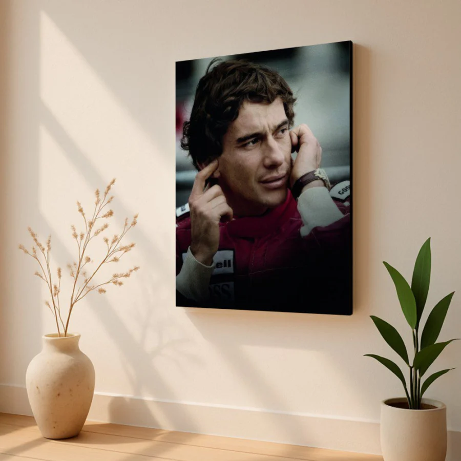 Cuadro de Ayrton Senna