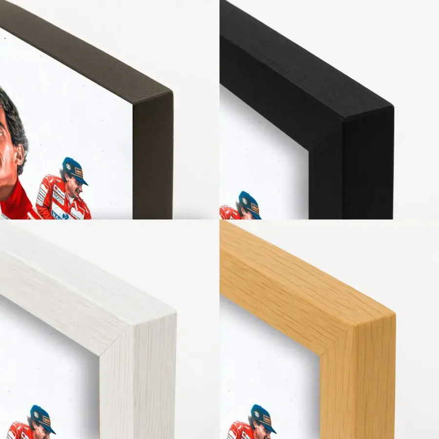 Cuadro de Ayrton Senna