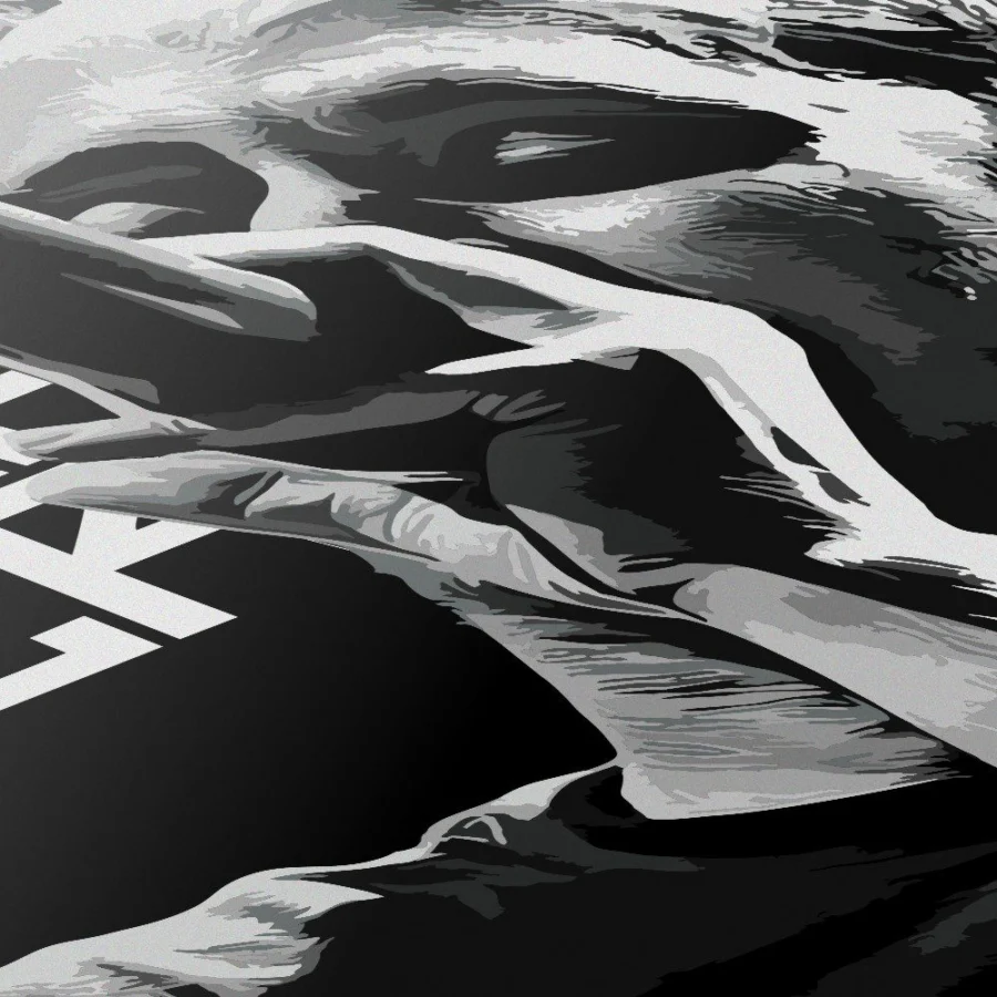 Cuadro de Canserbero