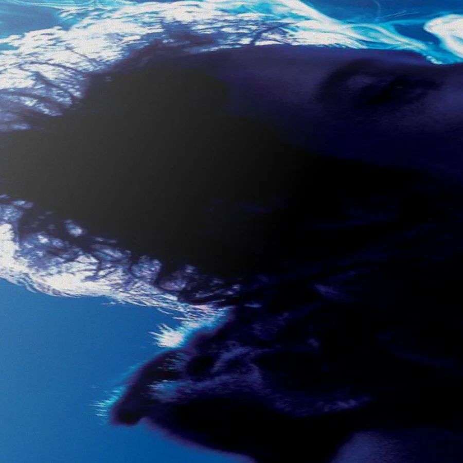 Cuadro de Gustavo Cerati