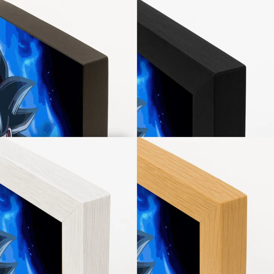 Cuadro de Goku ultra instinto - Dragon Ball