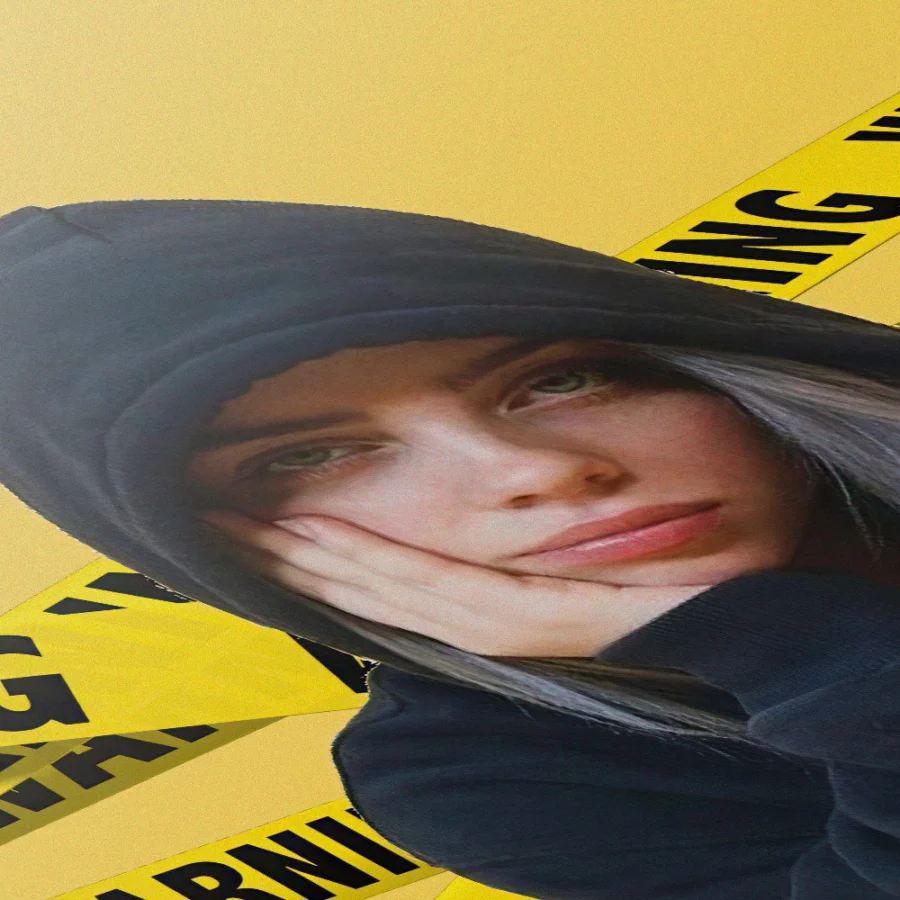 Cuadro de Billie Eilish