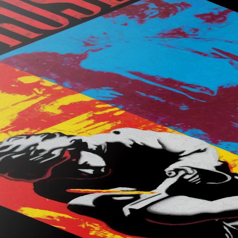 Cuadro de Guns N' Roses - Use Your Illusion