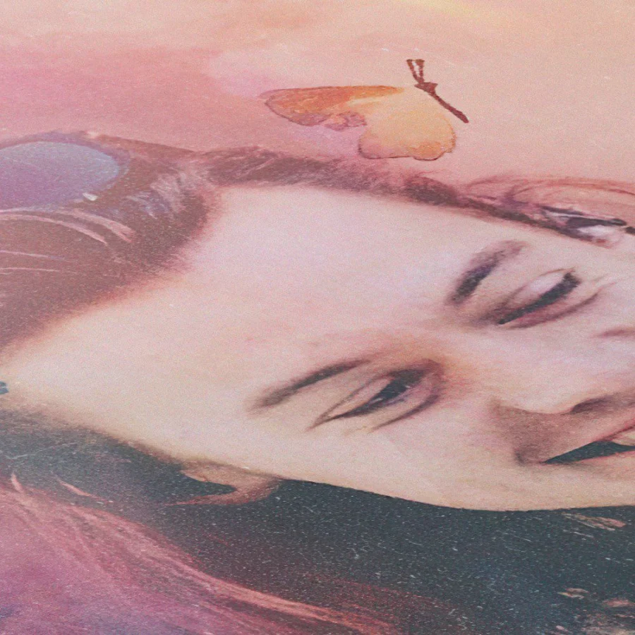 Cuadro de Harry Styles