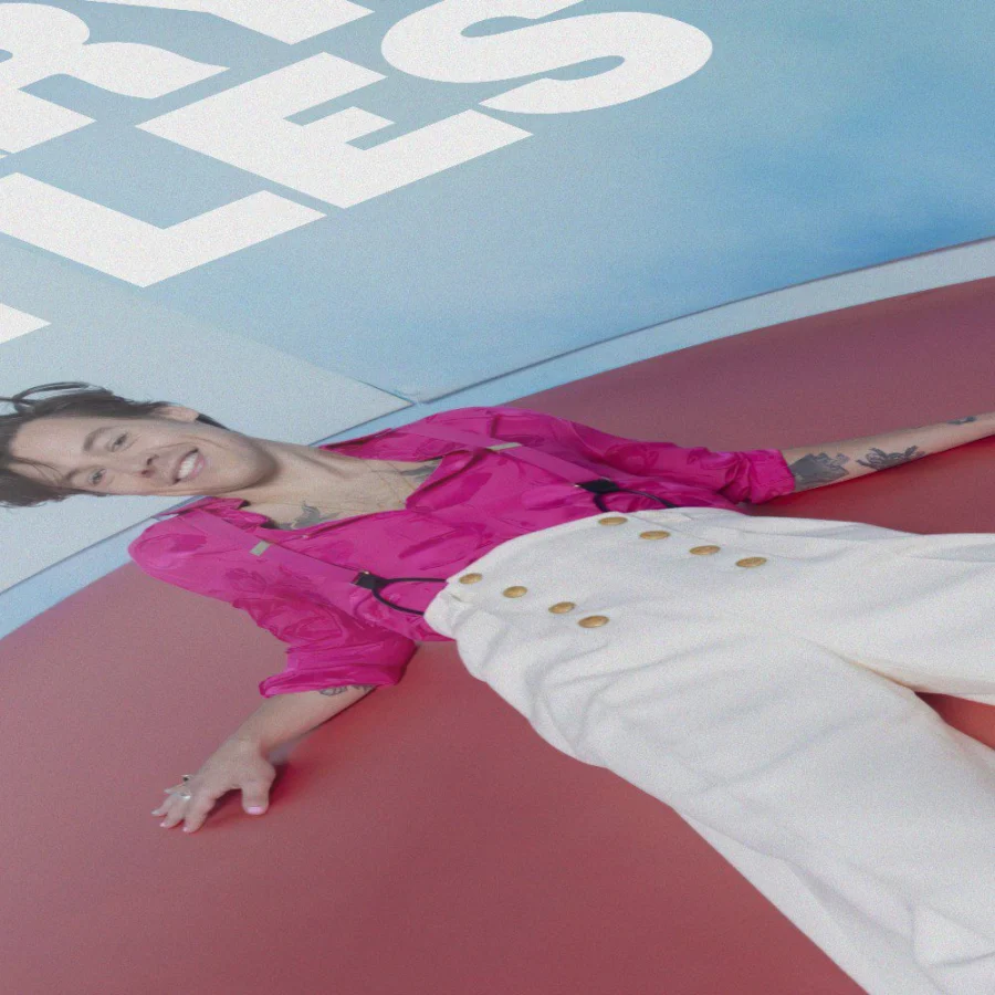 Cuadro de Harry Styles