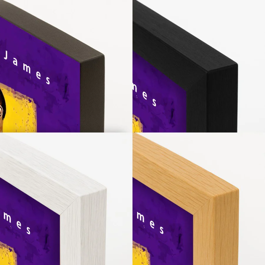 Cuadro de LeBron James