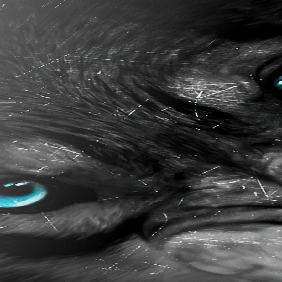 Cuadro de Lobo