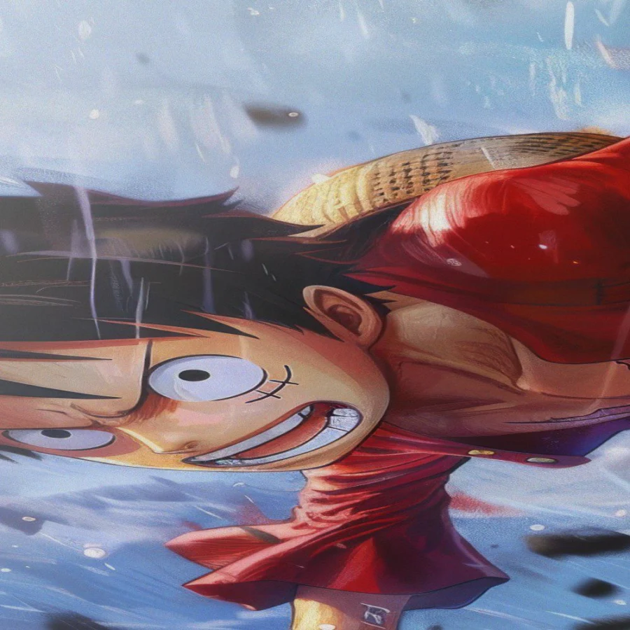 Cuadro de Monkey D. Luffy