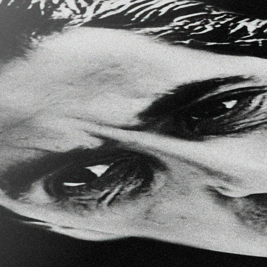 Cuadro de El Padrino - Michael Corleone