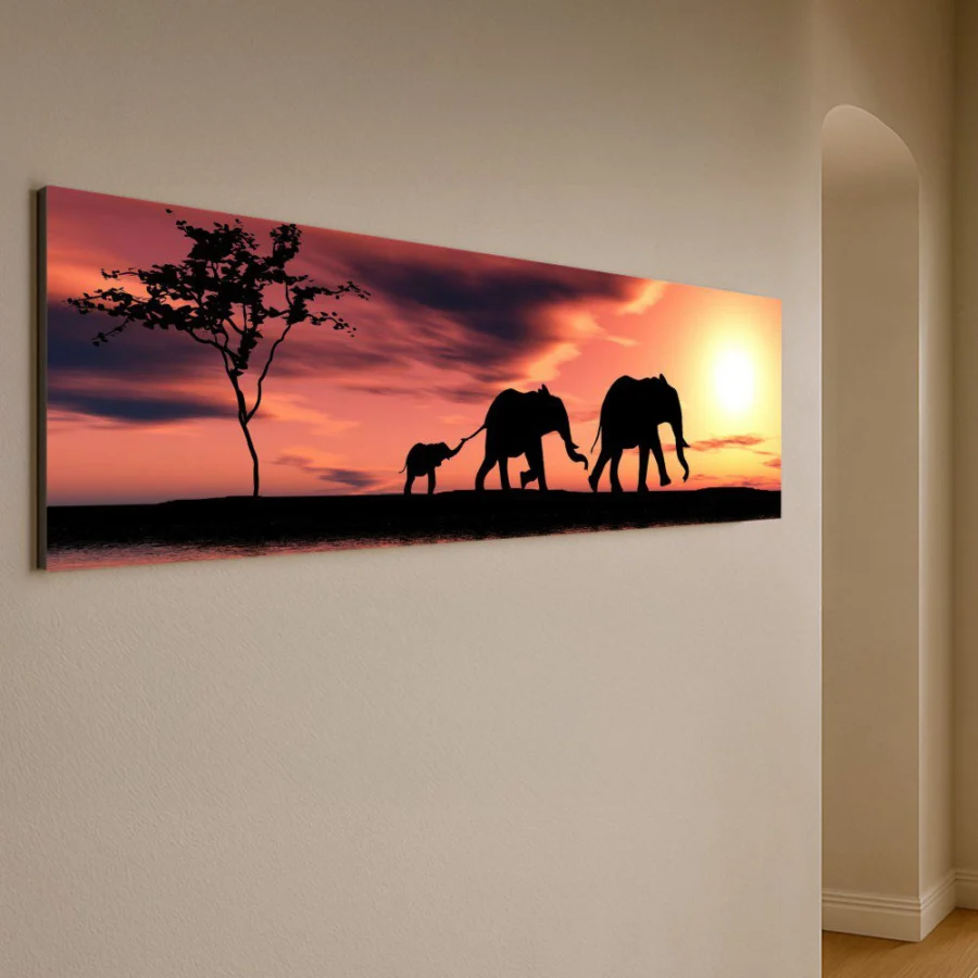Elephant in sunset