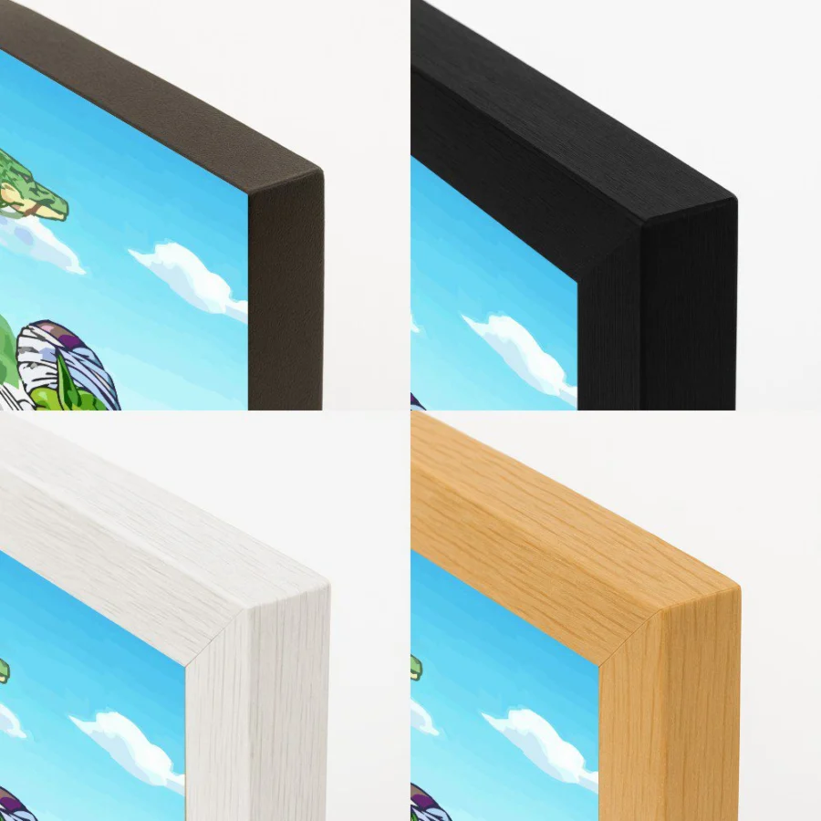 Cuadro de Dragon Ball Z