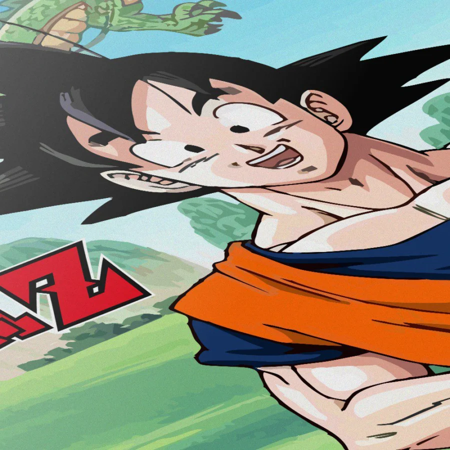 Cuadro de Dragon Ball Z