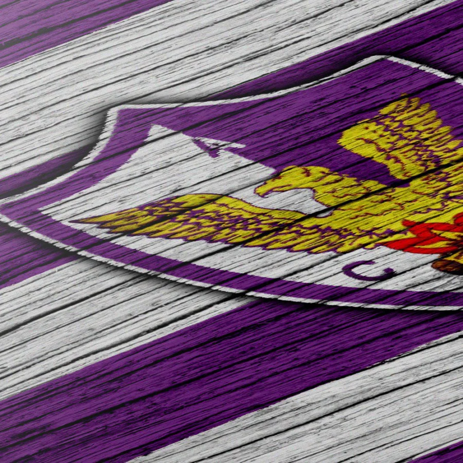 Cuadro de Centro Atlético Fénix