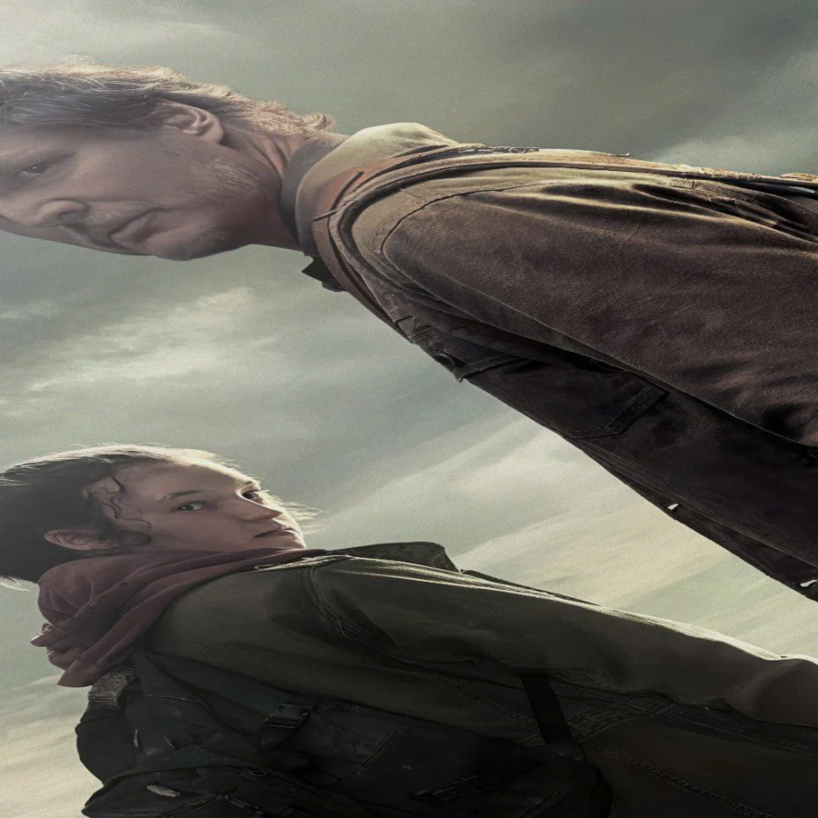Cuadro de The Last of Us