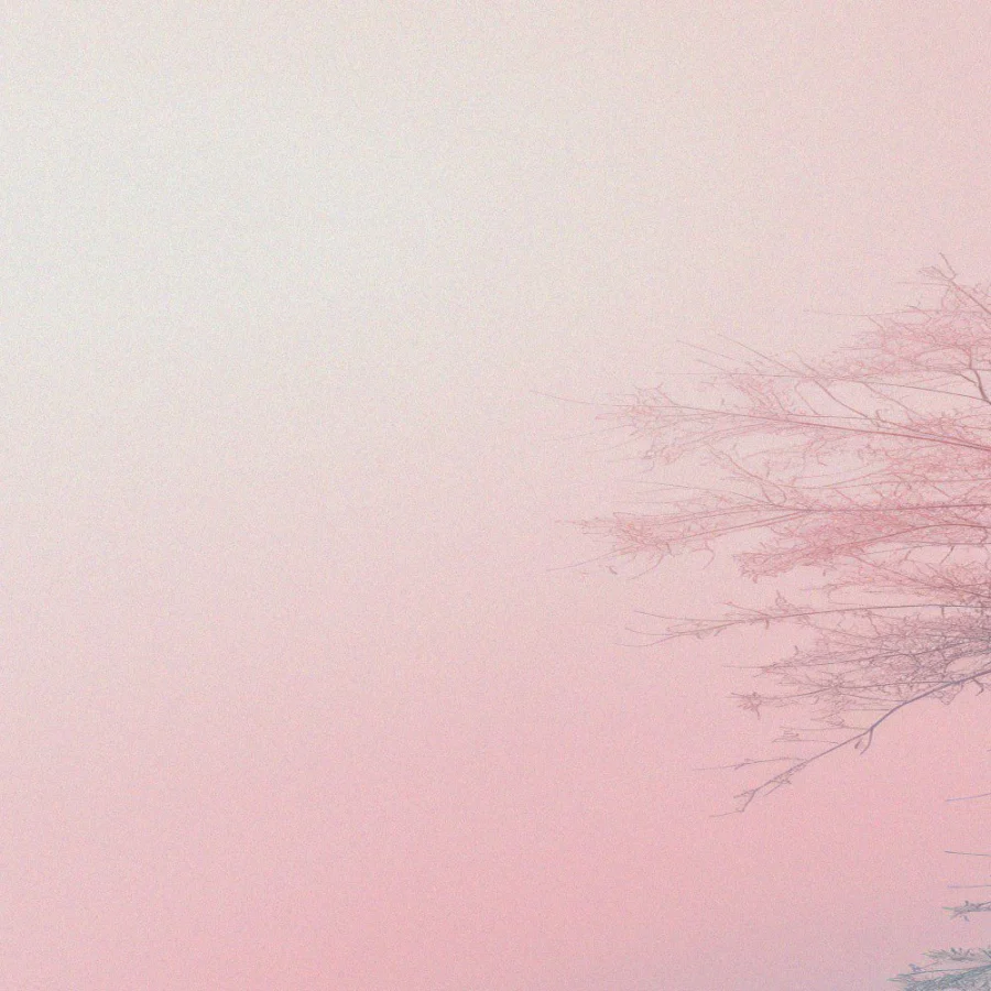 Cuadro de Pastel Landscape