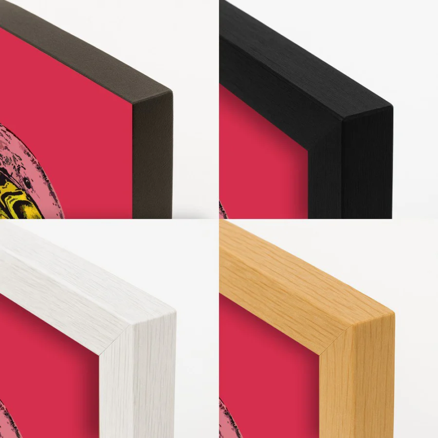 Cuadro de Pink Astronaut
