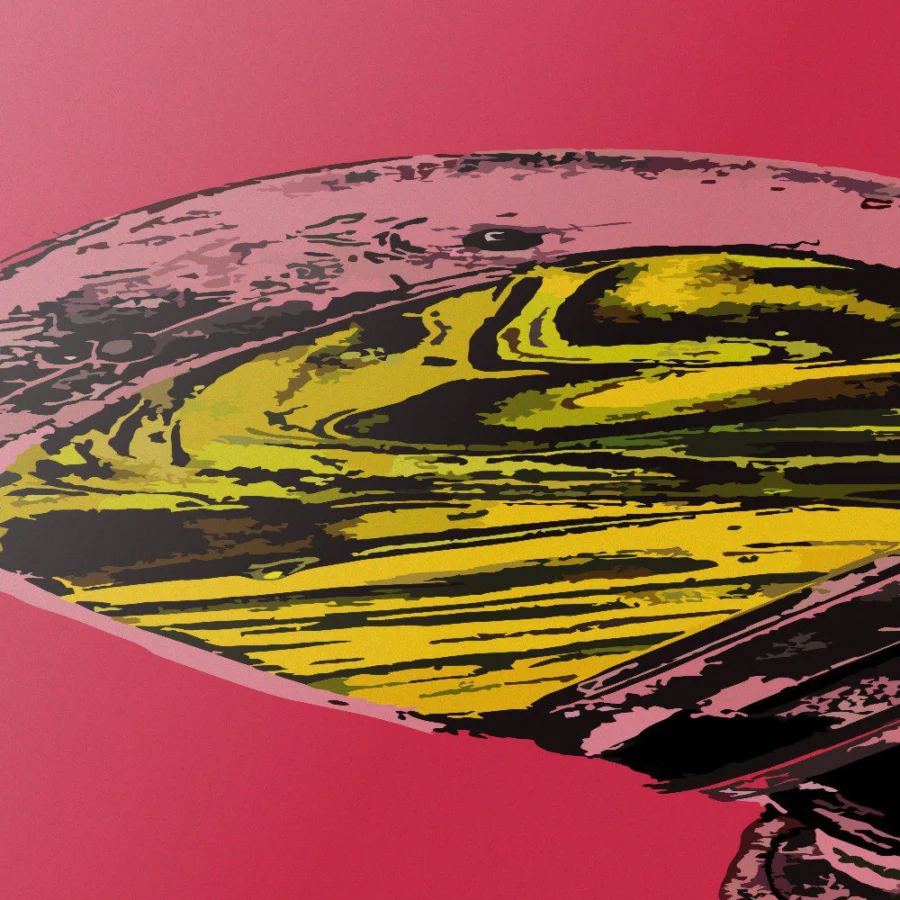Cuadro de Pink Astronaut