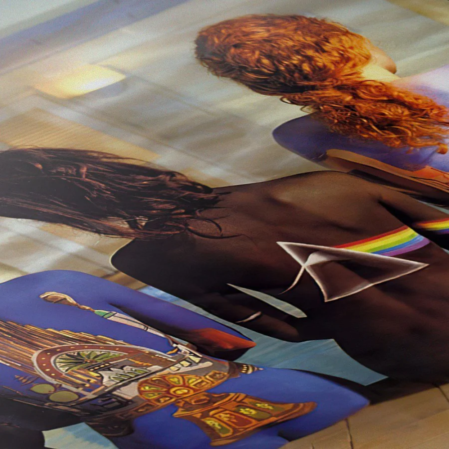 Cuadro de Pink Floyd