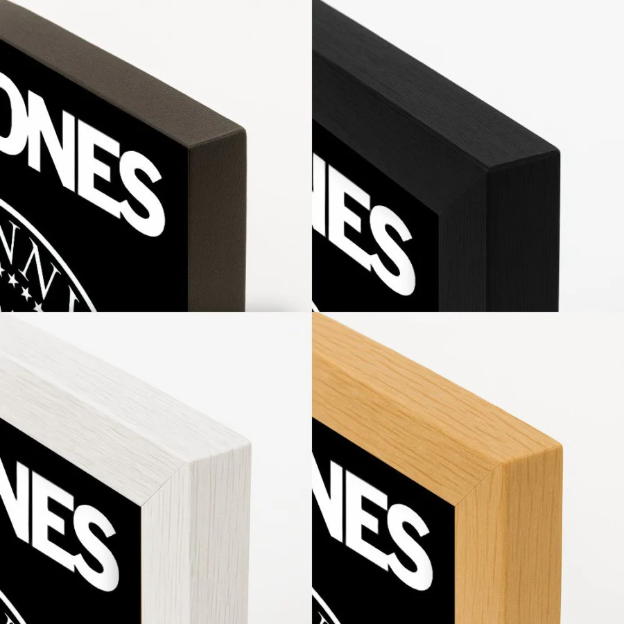 Cuadro de Ramones