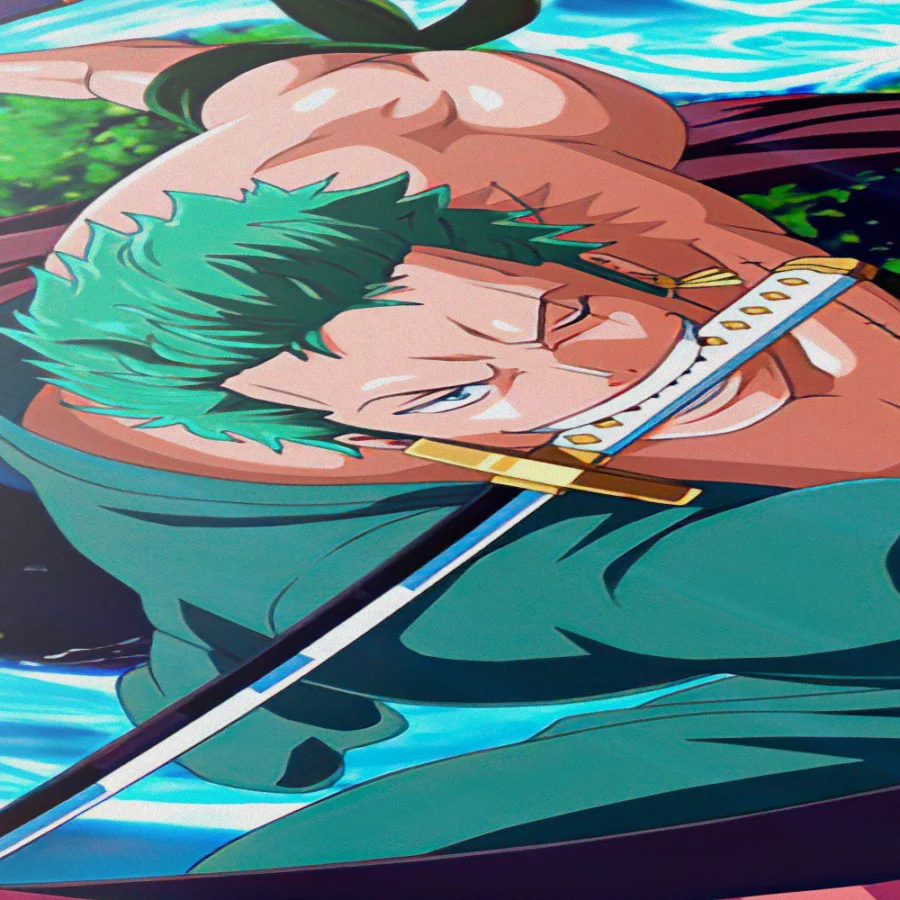 Cuadro de Roronoa Zoro - One Piece
