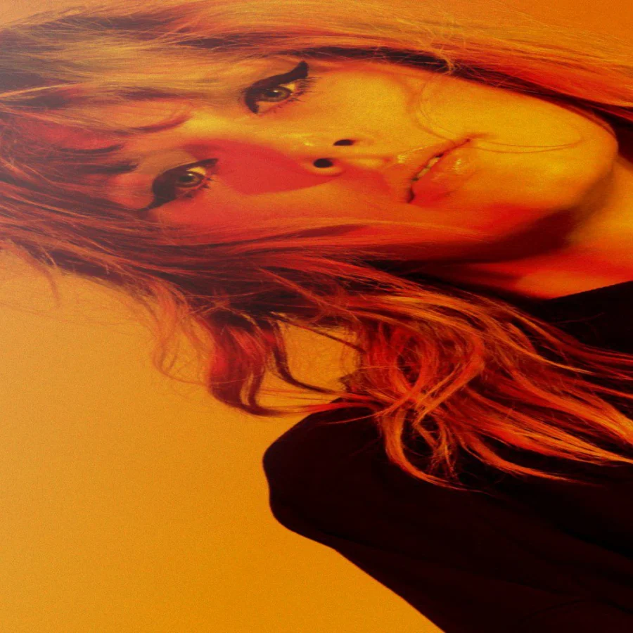 Cuadro de Taylor Swift