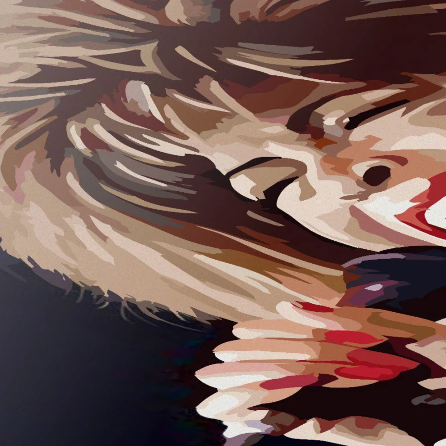 Cuadro de Tina Turner