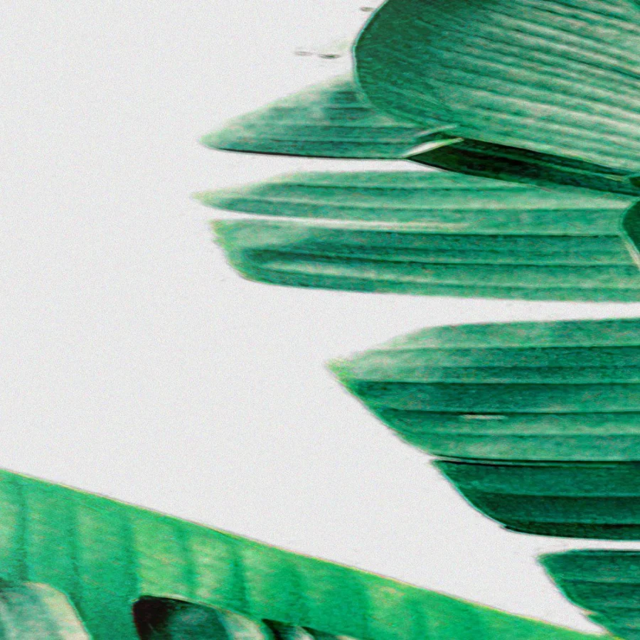 Mural Tríptico de Green Leafs