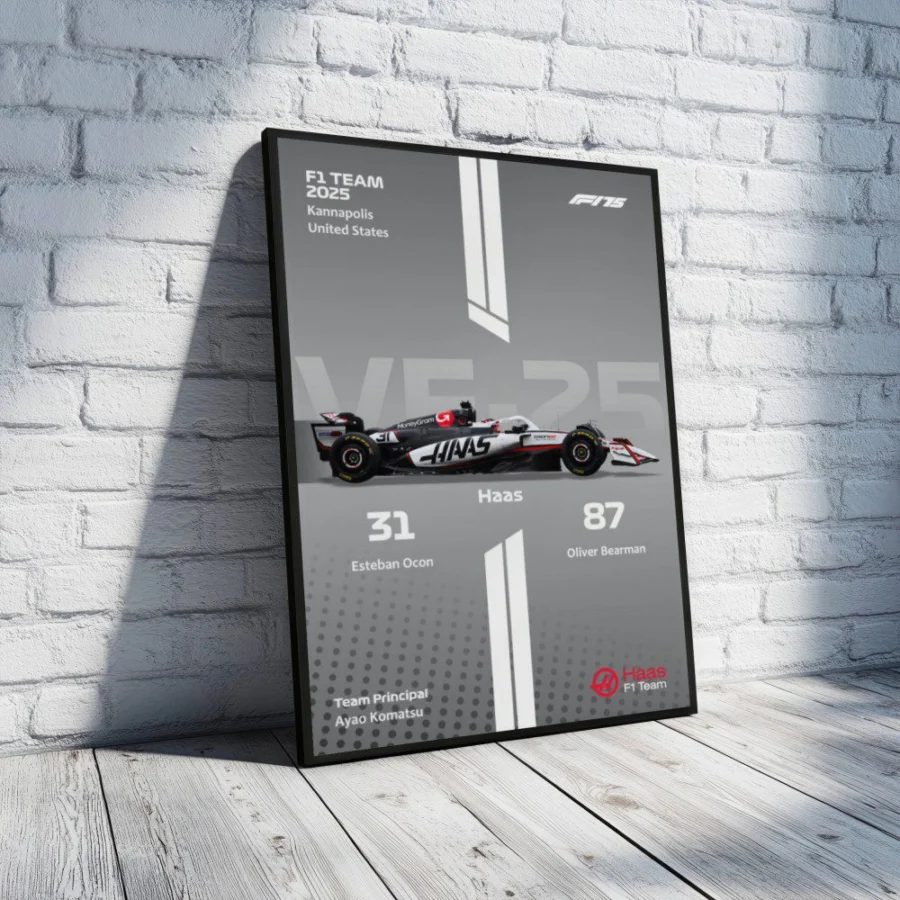 Cuadro de F1 2025 Haas VF-25 – Ocon & Bearman