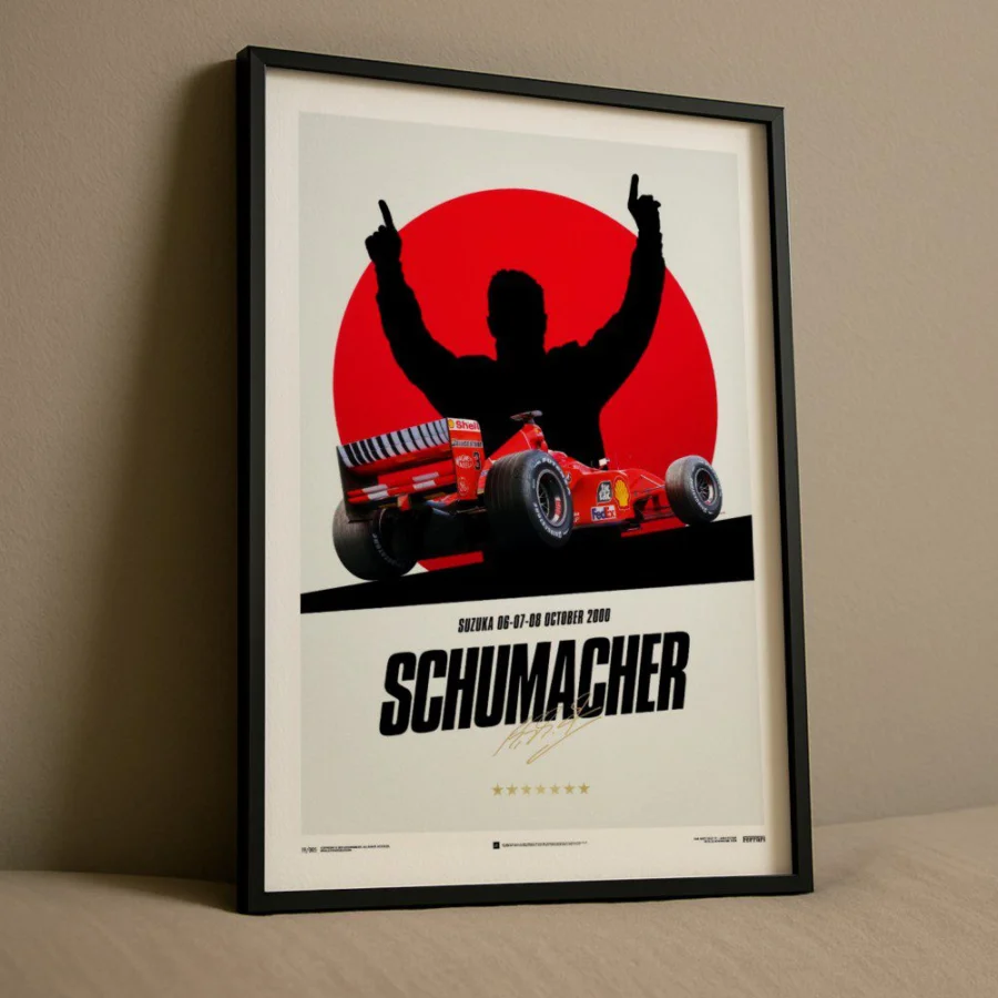 Cuadro de Michael Schumacher