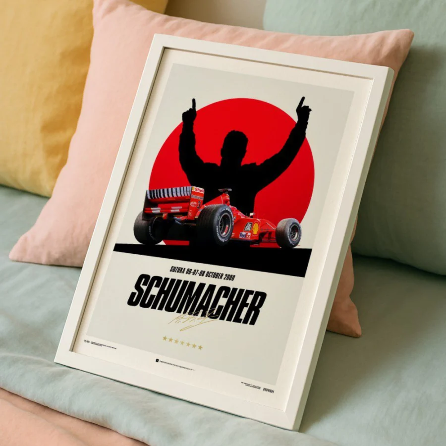 Cuadro de Michael Schumacher