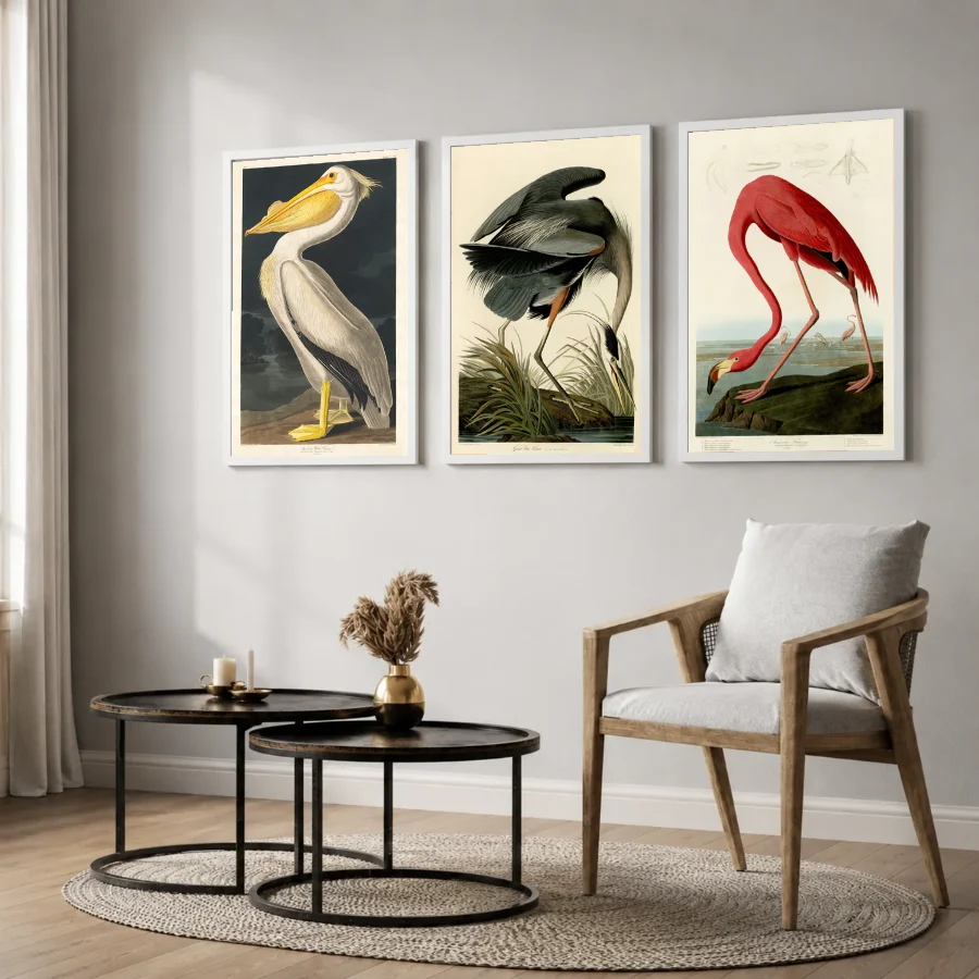 Birds of America - Set of 3