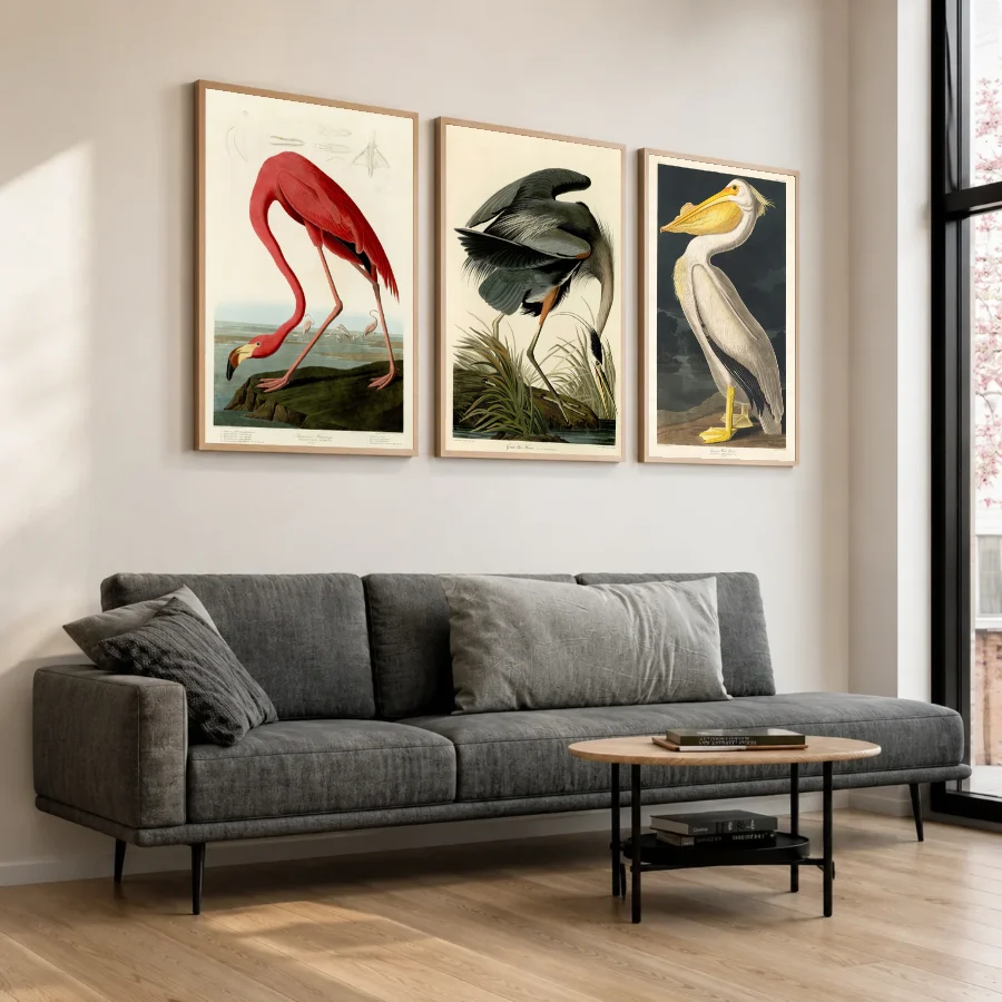 Birds of America - Set of 3