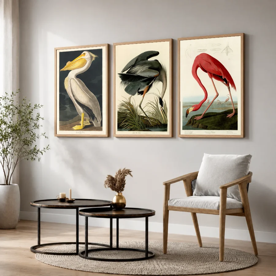 Birds of America - Set of 3