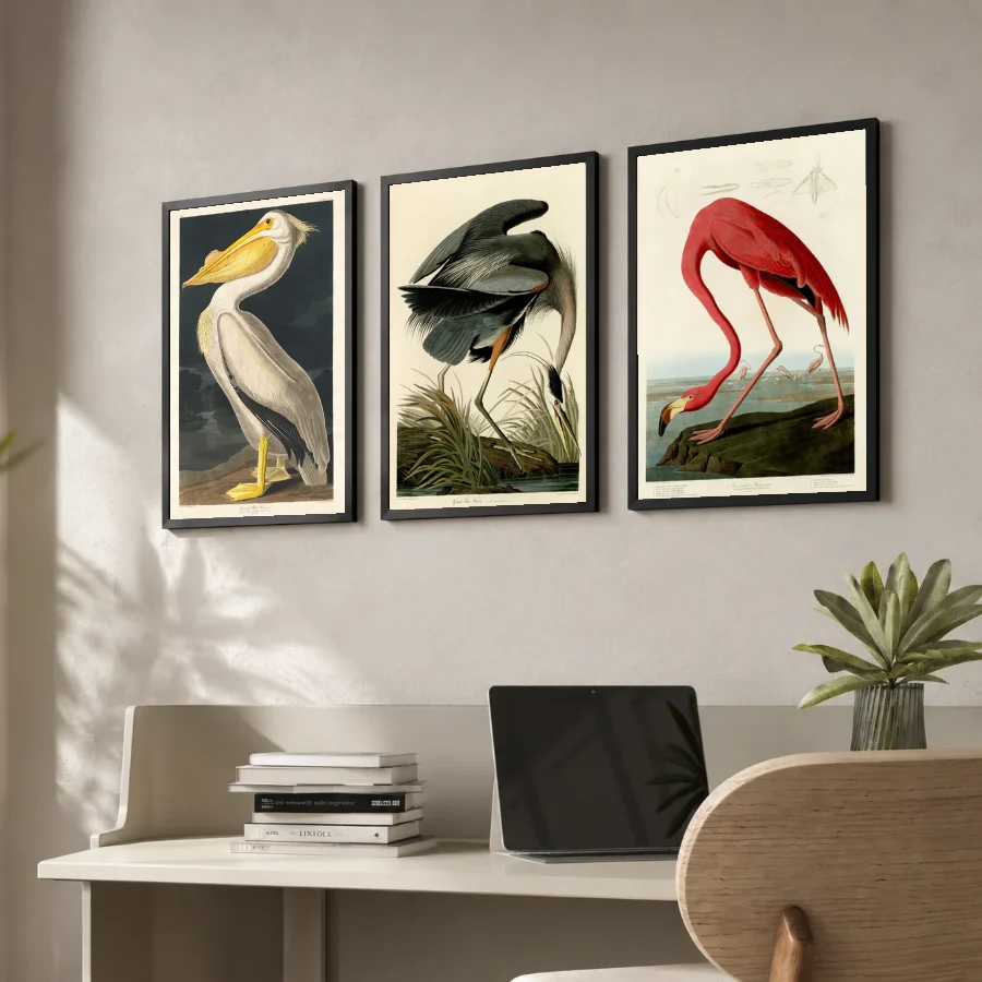 Birds of America - Set of 3