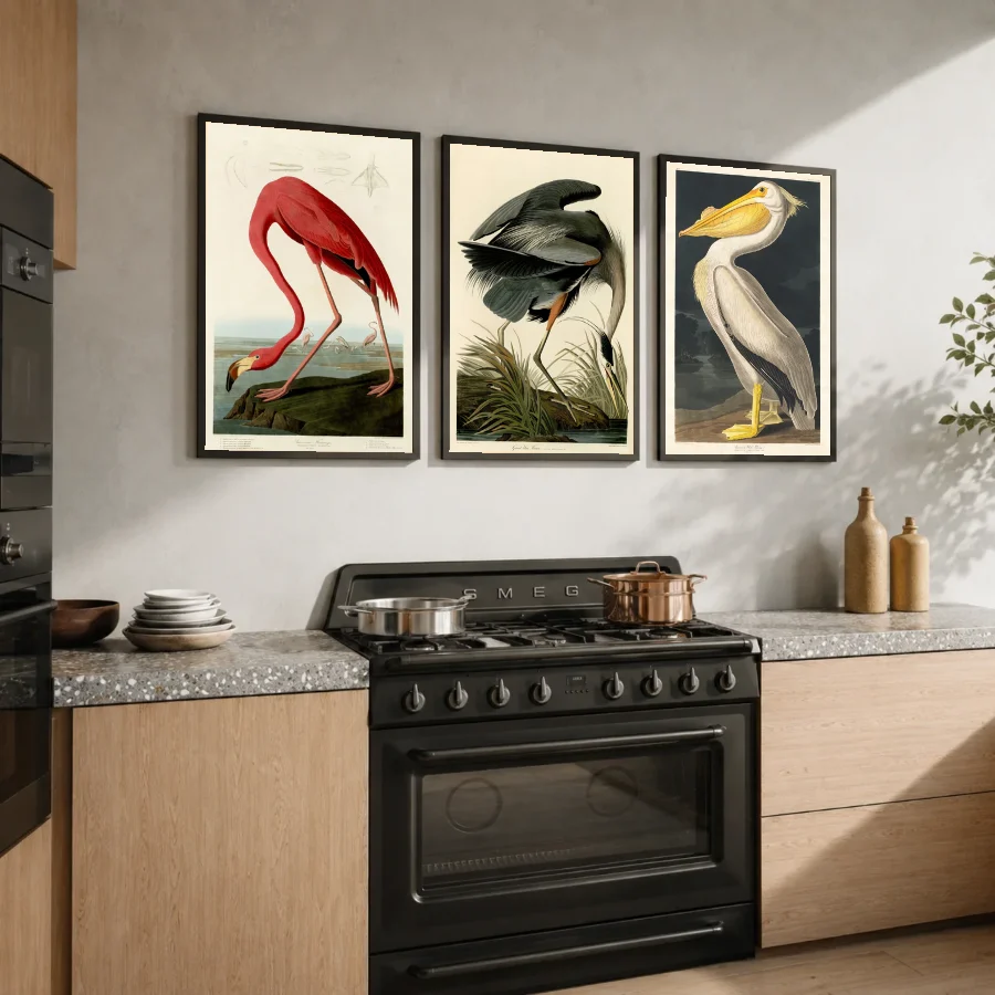 Birds of America - Set of 3