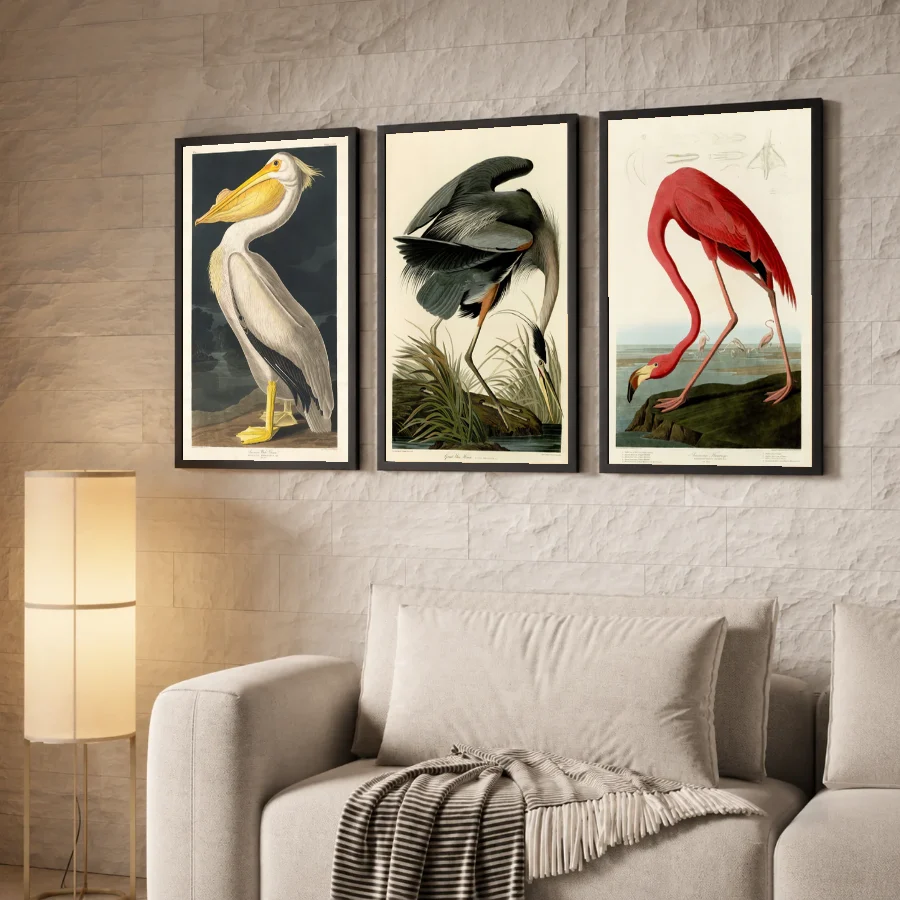 Birds of America - Set of 3