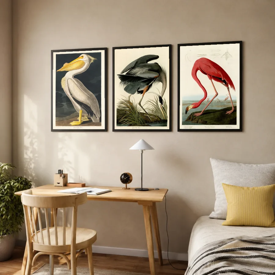 Birds of America - Set of 3